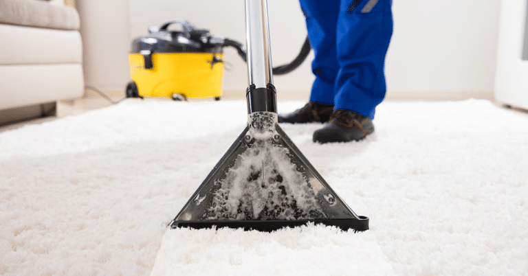 Carpet Cleaning Business